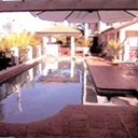 Chevron Palms